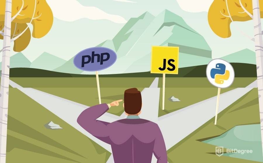 Почему первым языком программирования должен быть Python? Выбор языка программирования Самый выгодный язык программирования для фрилансера